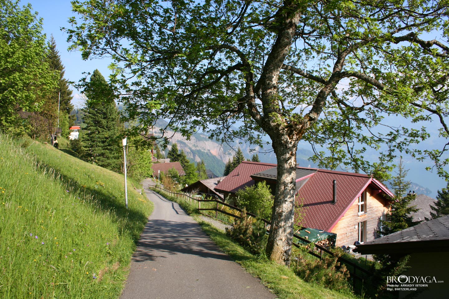 Rigi